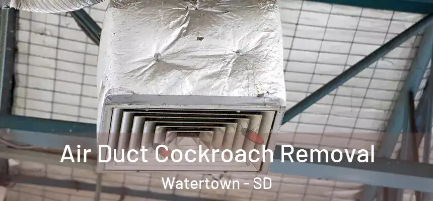  Air Duct Cockroach Removal Watertown - SD