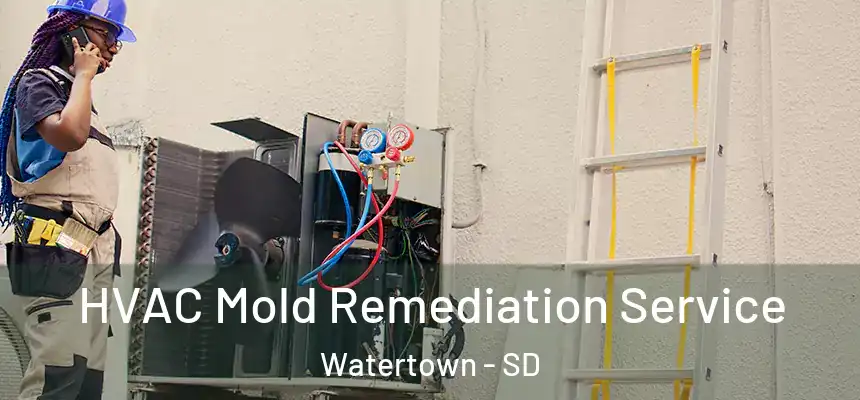  HVAC Mold Remediation Service Watertown - SD
