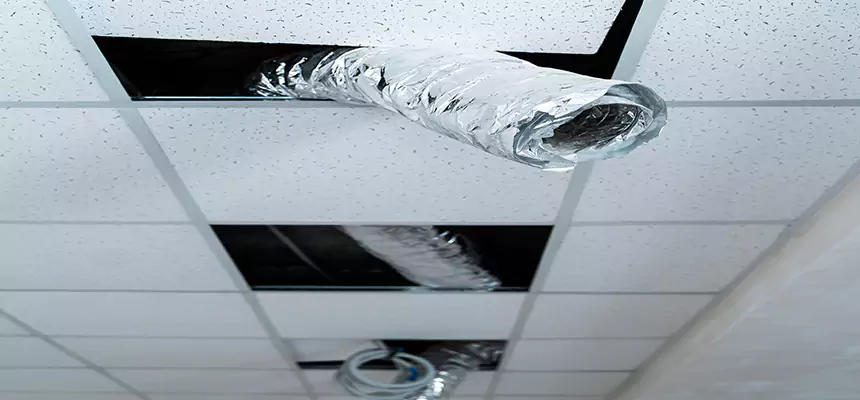 Affordable HVAC Sanitizing After Pest Removal in Watertown