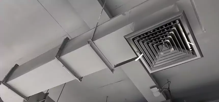 Our Pest Removal From Ducts Services in Watertown, SD