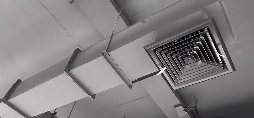 Our Rodent Droppings In Vents Services in Watertown, SD