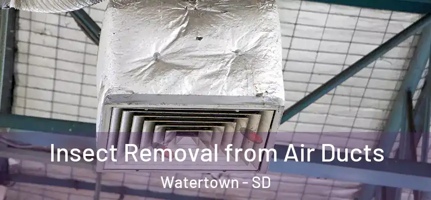  Insect Removal from Air Ducts Watertown - SD