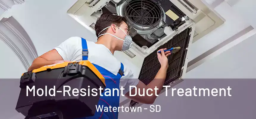 Mold-Resistant Duct Treatment Watertown - SD