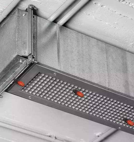 About Air Duct Cockroach Removal in Watertown, SD