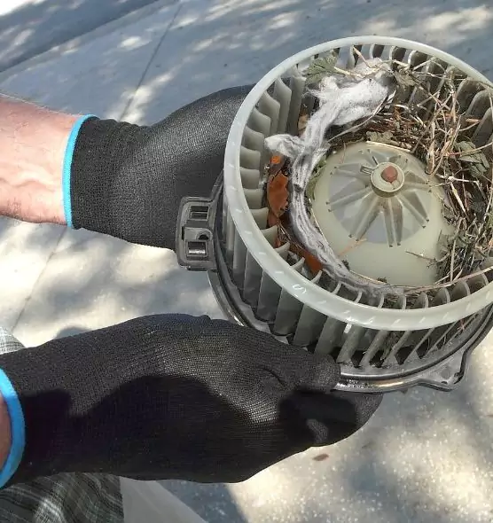 About Air Duct Mice Removal in Watertown, SD