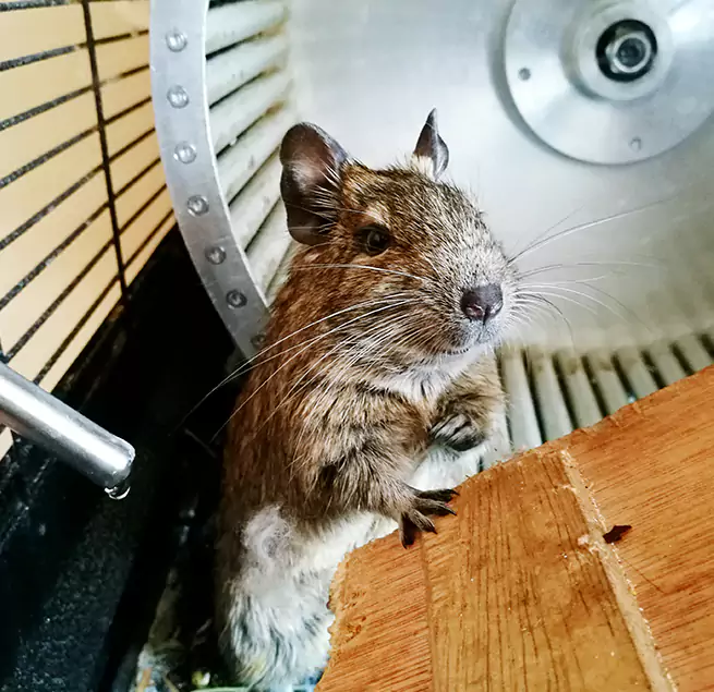 Why Homeowners & Businesses Trust Us Watertown, SD